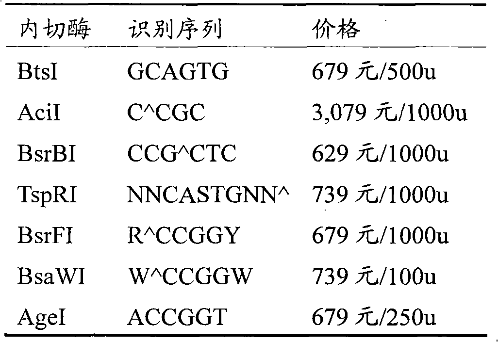 Method for identifying gene polymorphism rs2274976 of human MTHFR