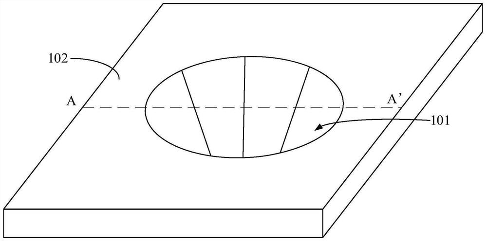 Flexible display panel and display device