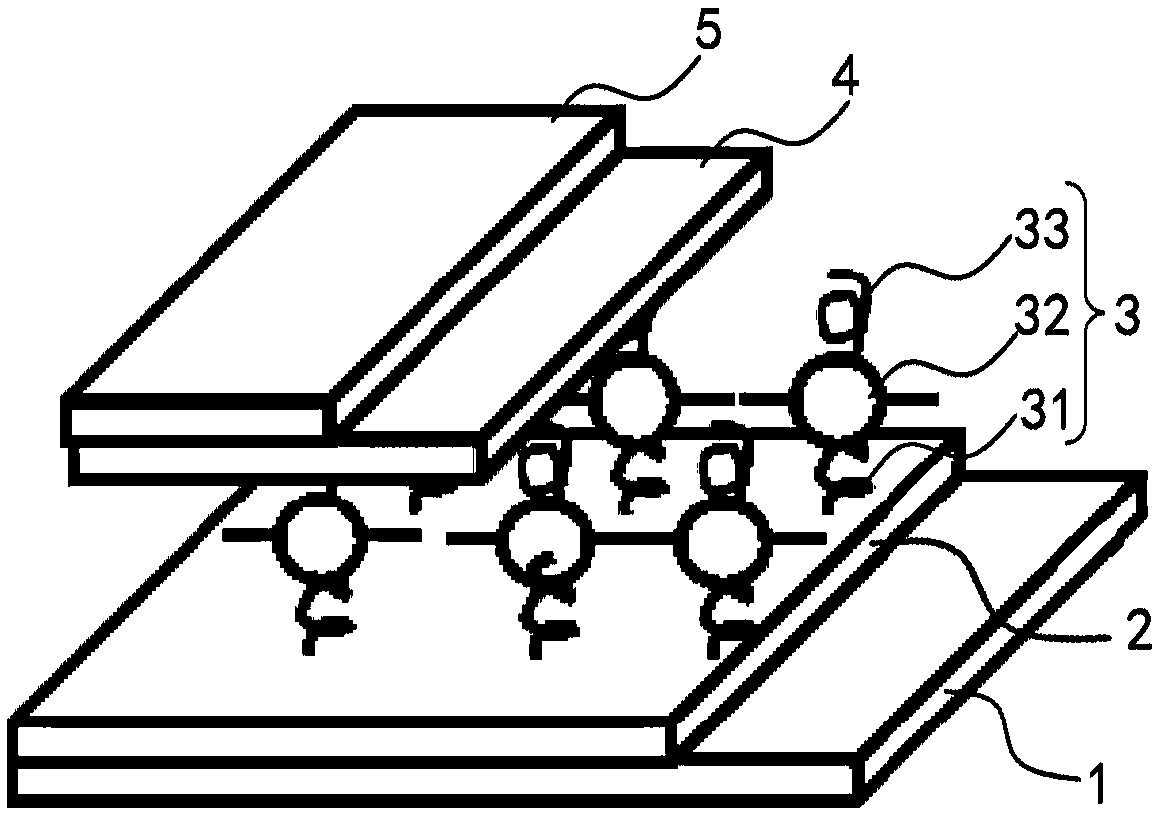 Quantum dot light-emitting diode and preparation method thereof, and display panel