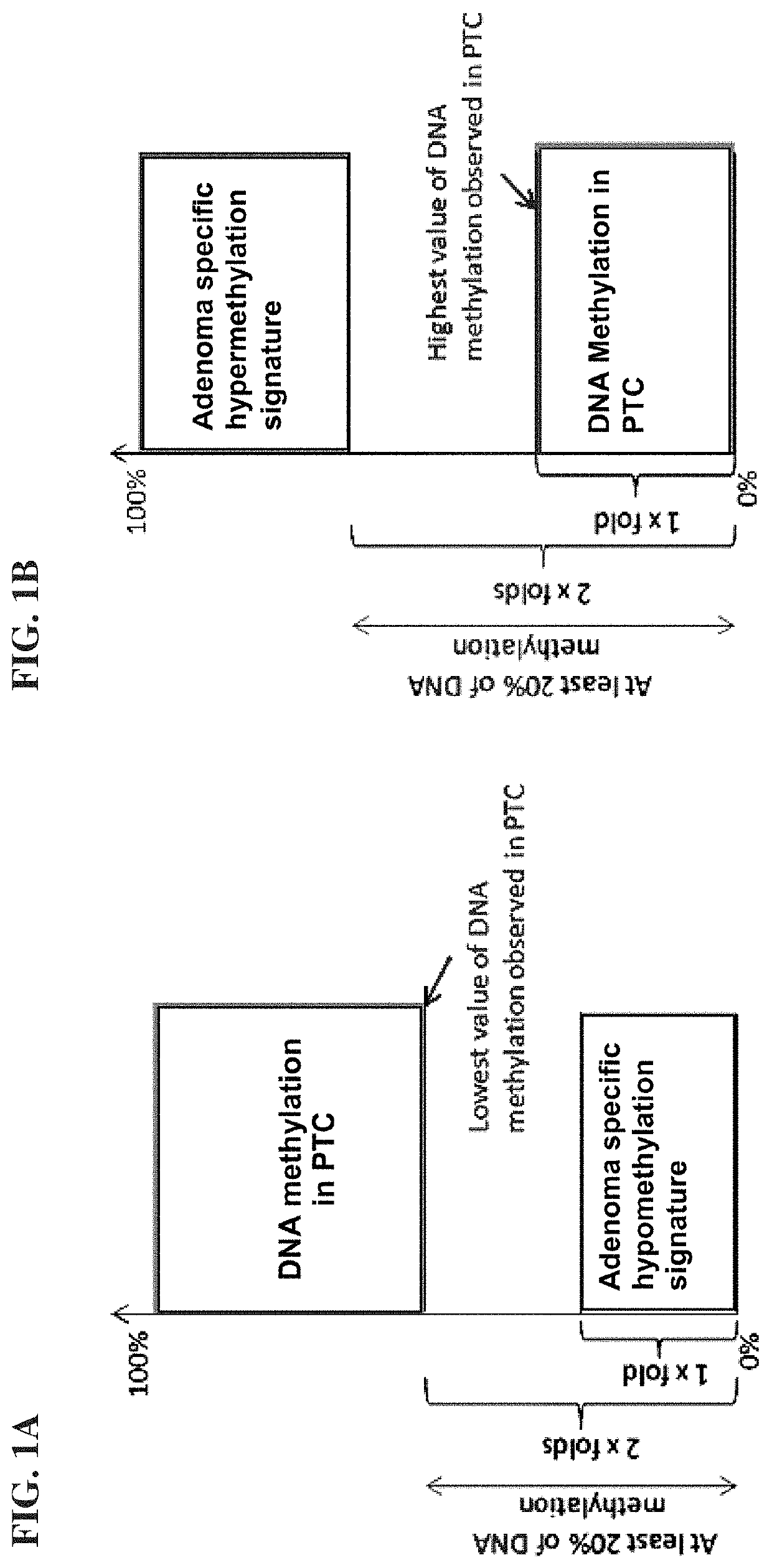 Methods, treatment, and compositions for characterizing thyroid nodule