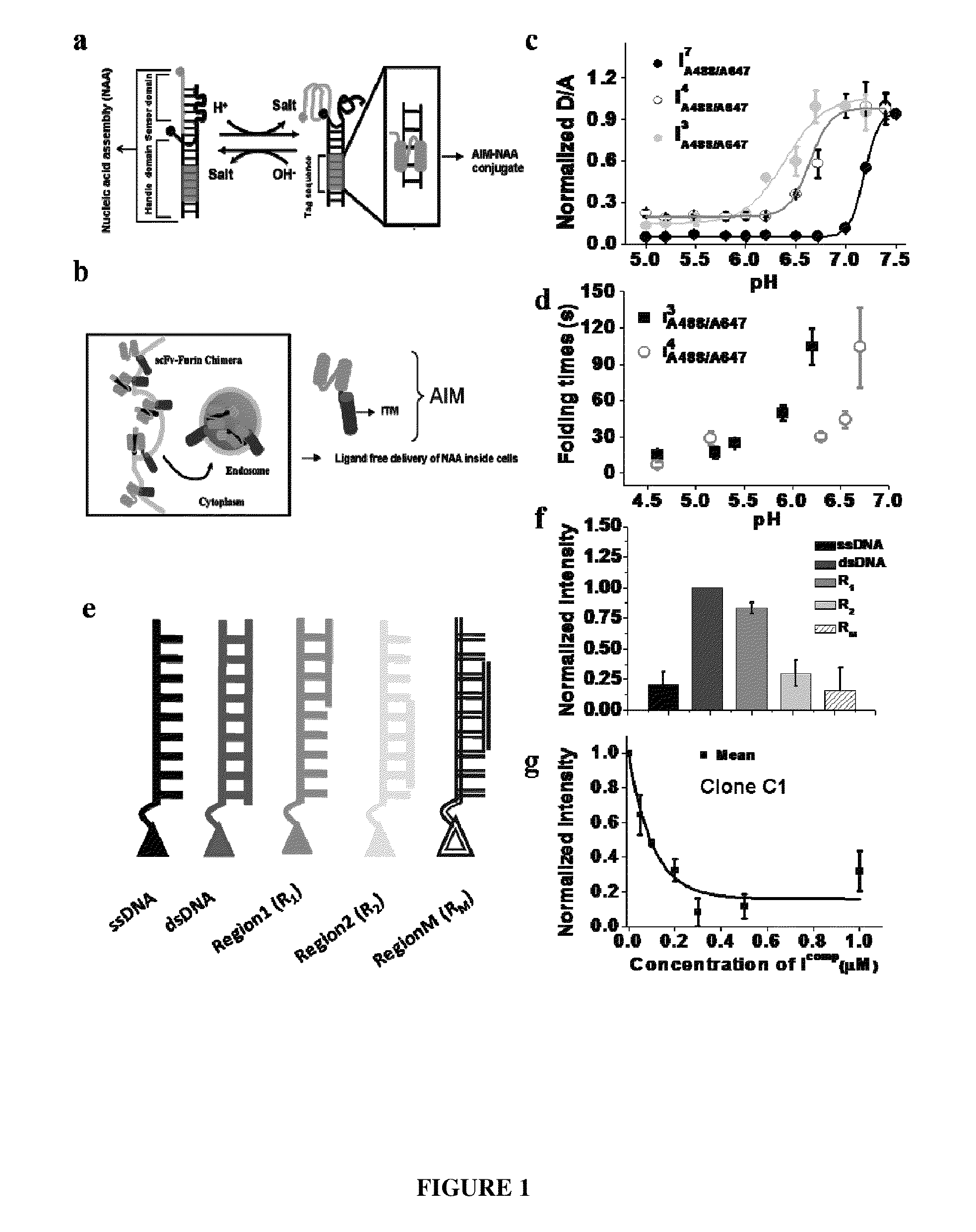 Nucleic acid assembly, vector, cell, methods and kit thereof