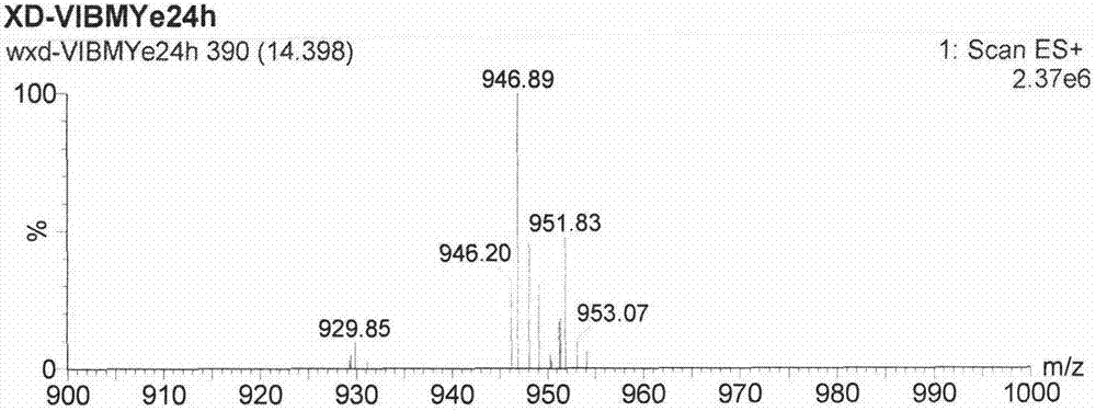 New method for using model organism zebrafish to research metabolism of glucoside compound asperosaponin VI