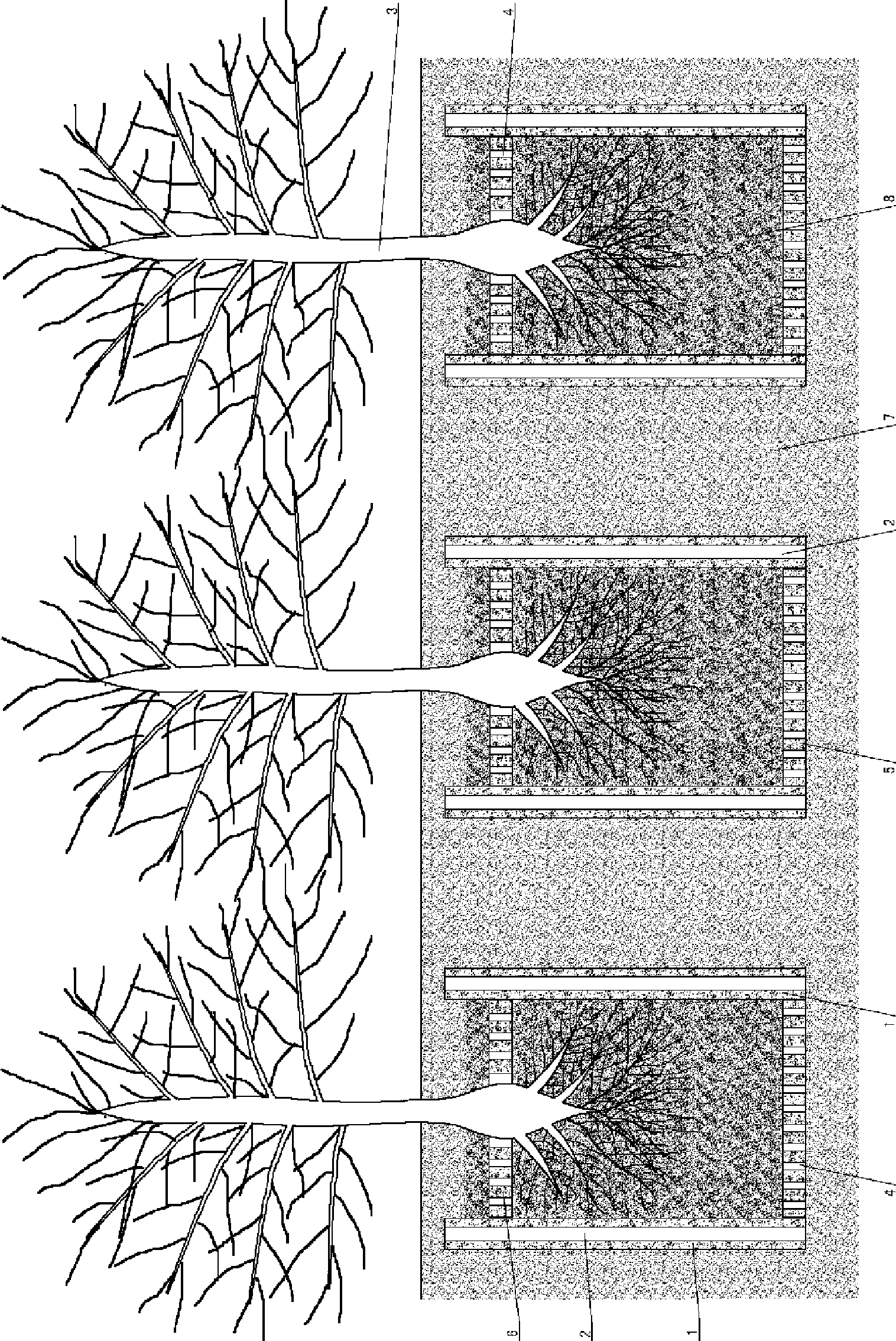 Planting method using compressed straw as swaddle of seedling