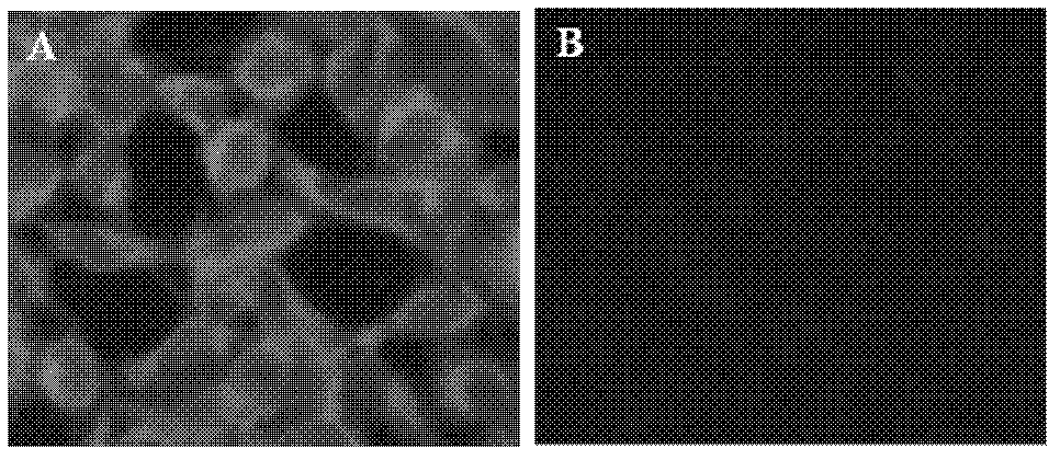 Recombinant denovirus for expressing foot-and-mouth disease virus type A empty capsid, and application thereof