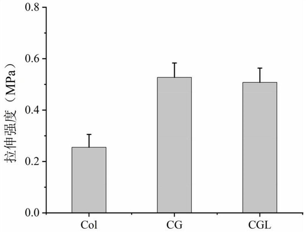 GelMA-collagen dual-network antibacterial cornea repair material as well as preparation method and application thereof