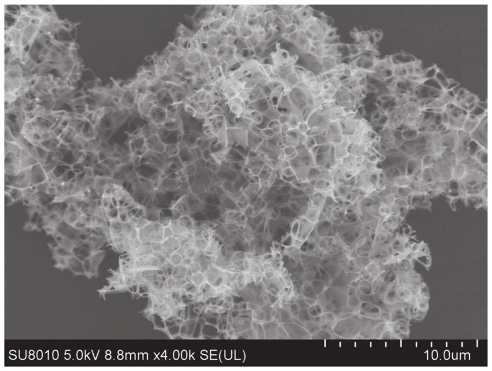 Preparation method and application of sulfur-nitrogen co-doped three-dimensional porous carbon nanosheet