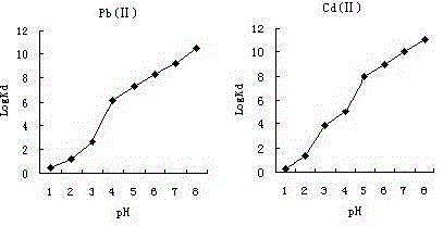 Separation, enrichment and detection method of trace lead and cadmium ions in table salt