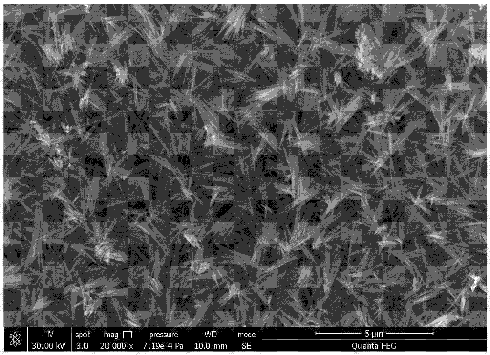 Nano-porous copper-silver bimetal/bimetal oxide and preparation method and application thereof