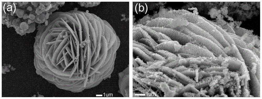 Micro-nano copper oxide and preparation method thereof