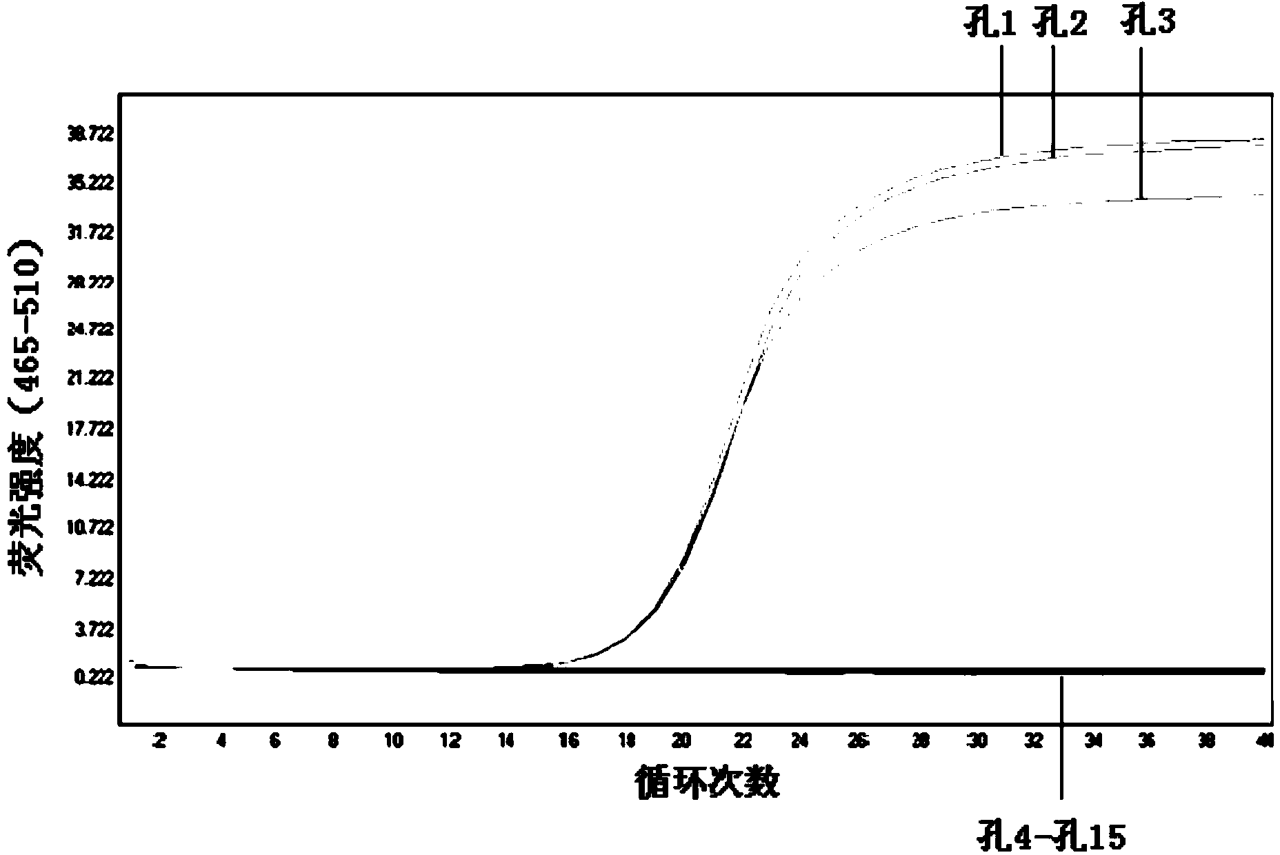 Kit and method for detecting human parvovirus B19