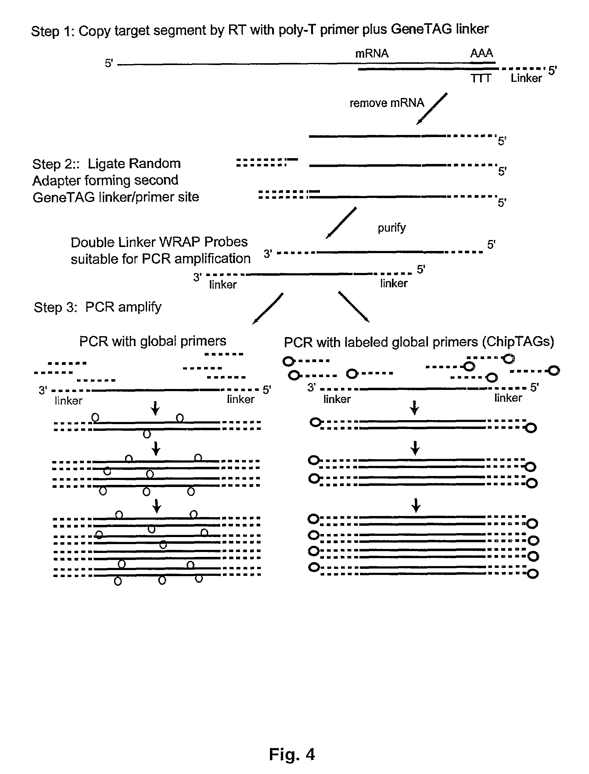 Expression miniarrays and uses thereof
