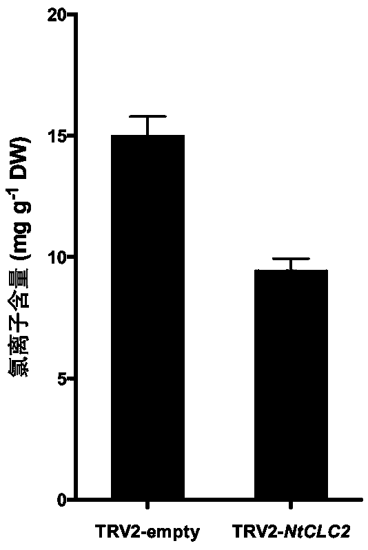 Tobacco chloride ion channel protein NtCLC2 and application thereof