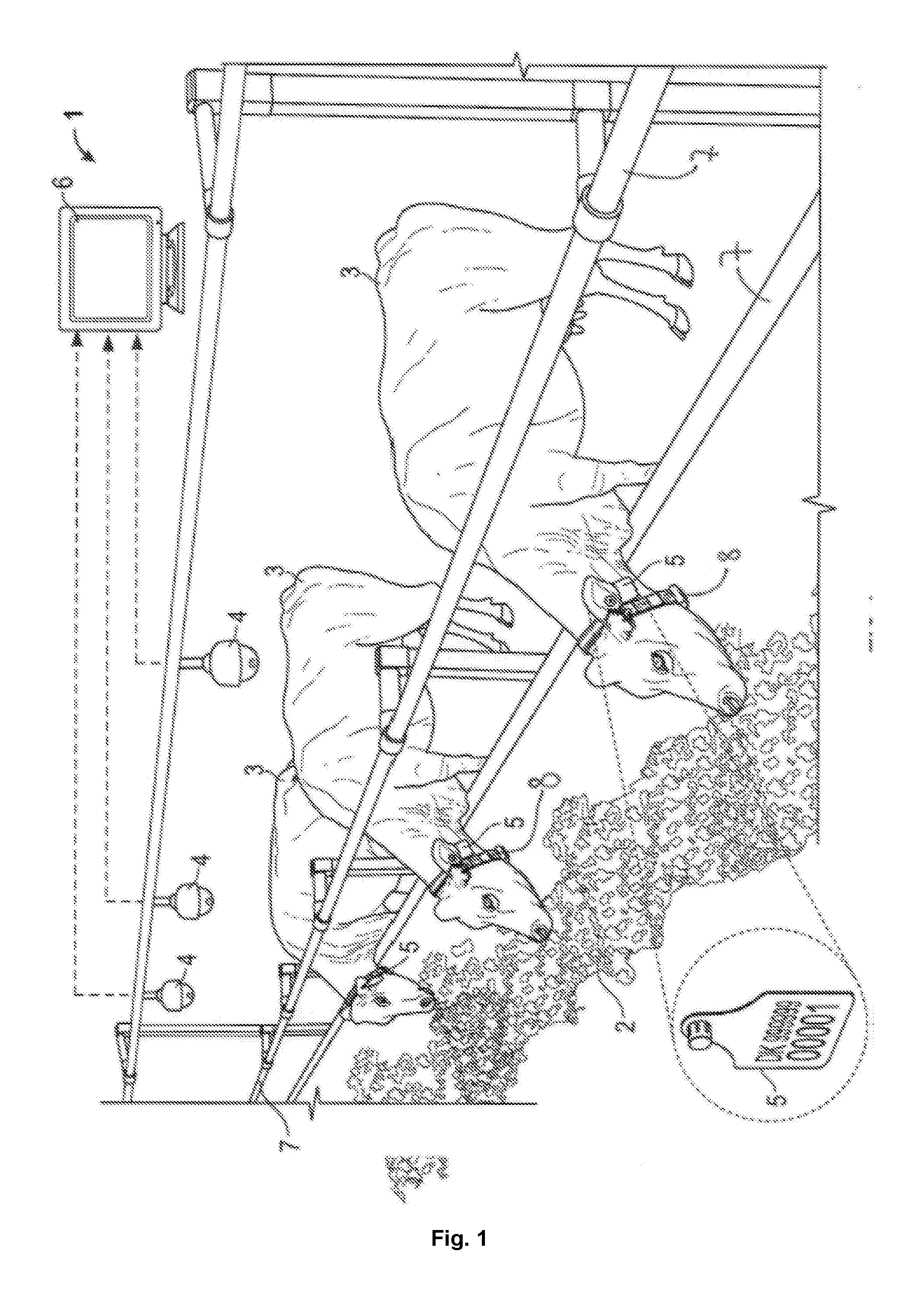 System for determining feed consumption of at least one animal