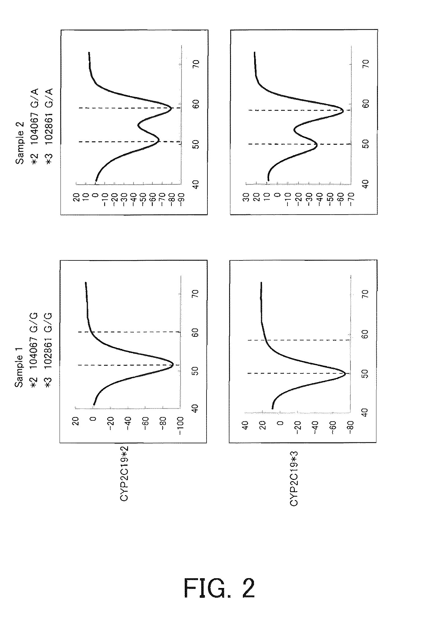 Primer set for amplifying cyp2c19 gene, reagent for amplifying cyp2c19 gene containing the same, and the uses thereof