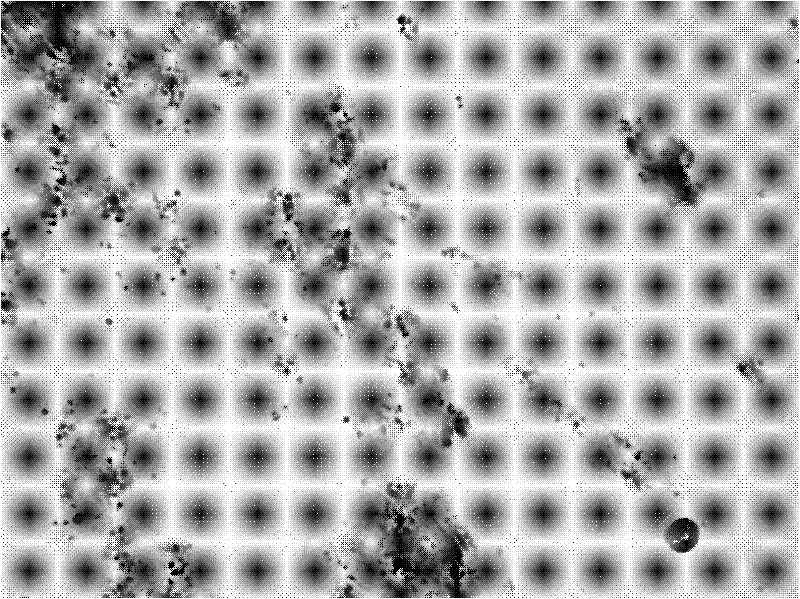 Papanicolaou staining solution and its rapid staining method