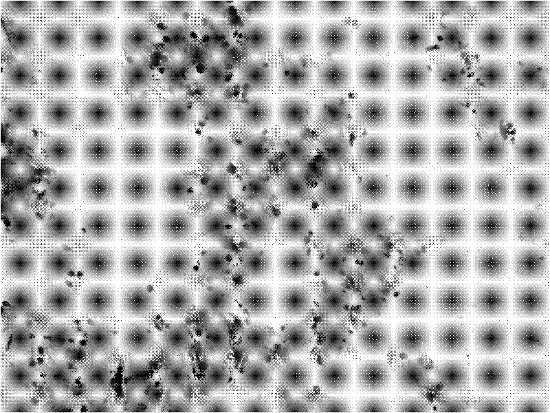 Papanicolaou staining solution and its rapid staining method