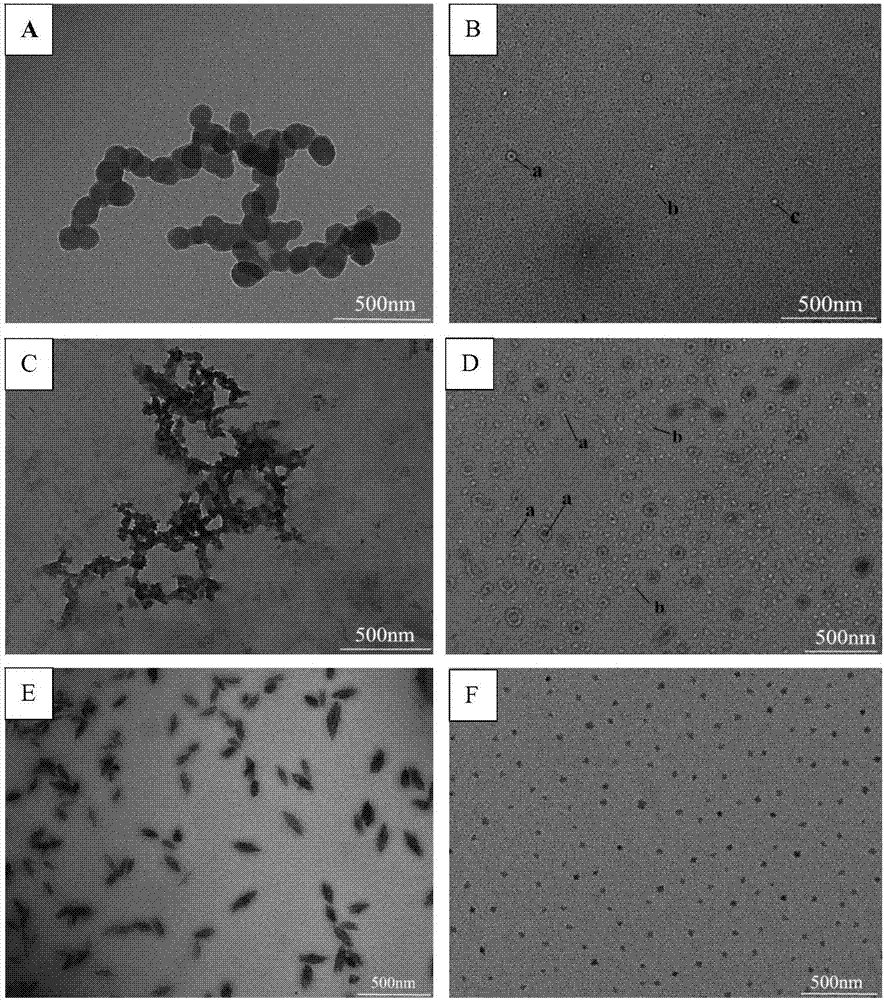 Preparation method of starch nanoparticle with controllable morphology and particle size