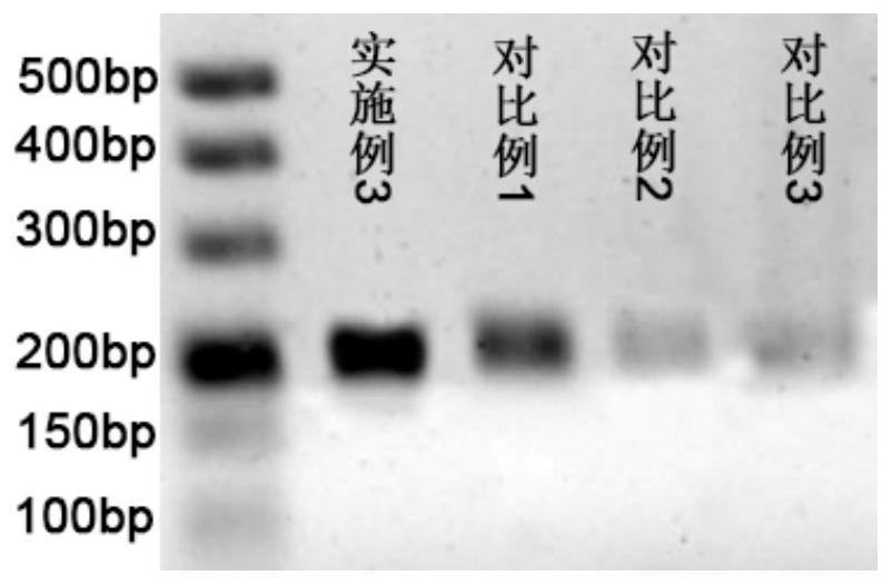 Primer composition for detecting TERT promoter methylation and application thereof