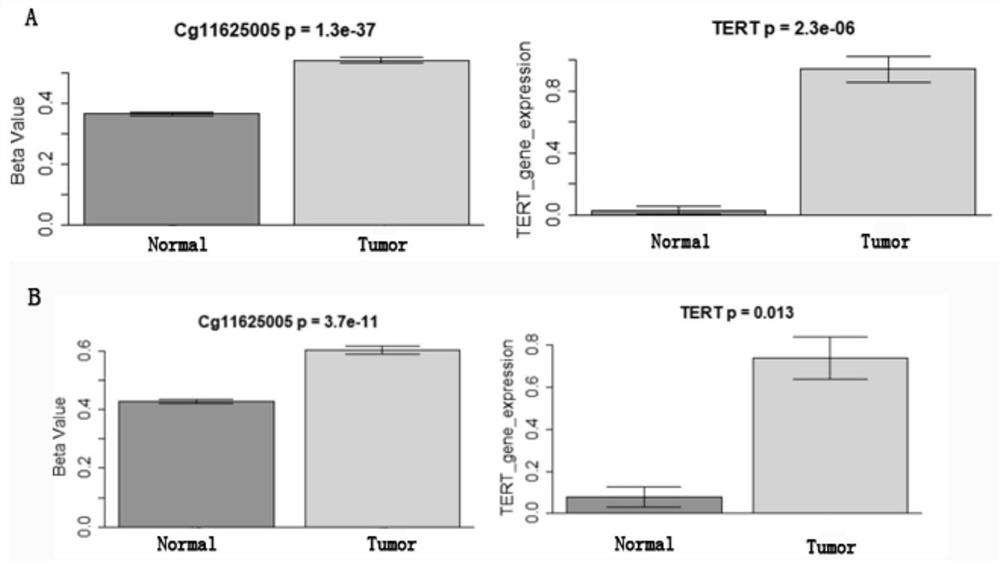 Primer composition for detecting TERT promoter methylation and application thereof