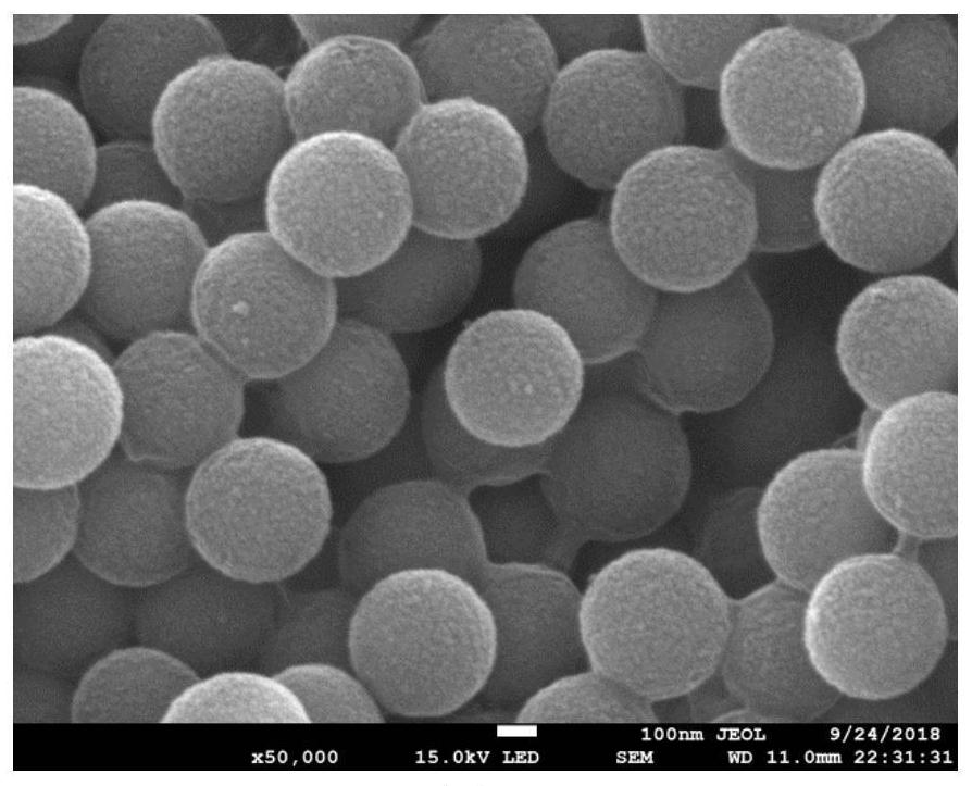 new style  <sub>2</sub> Coated mesoporous hollow carbon sphere composite material and its preparation method and application in supercapacitor