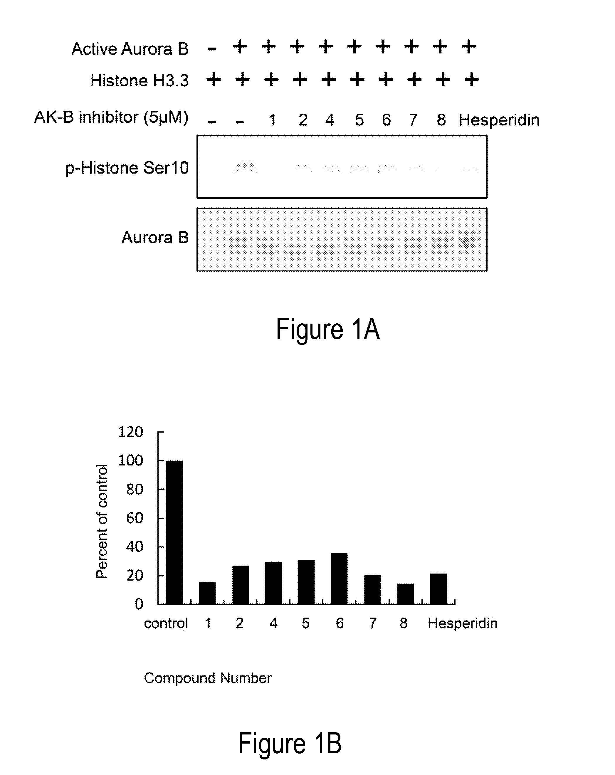 Aurora kinase inhibitors