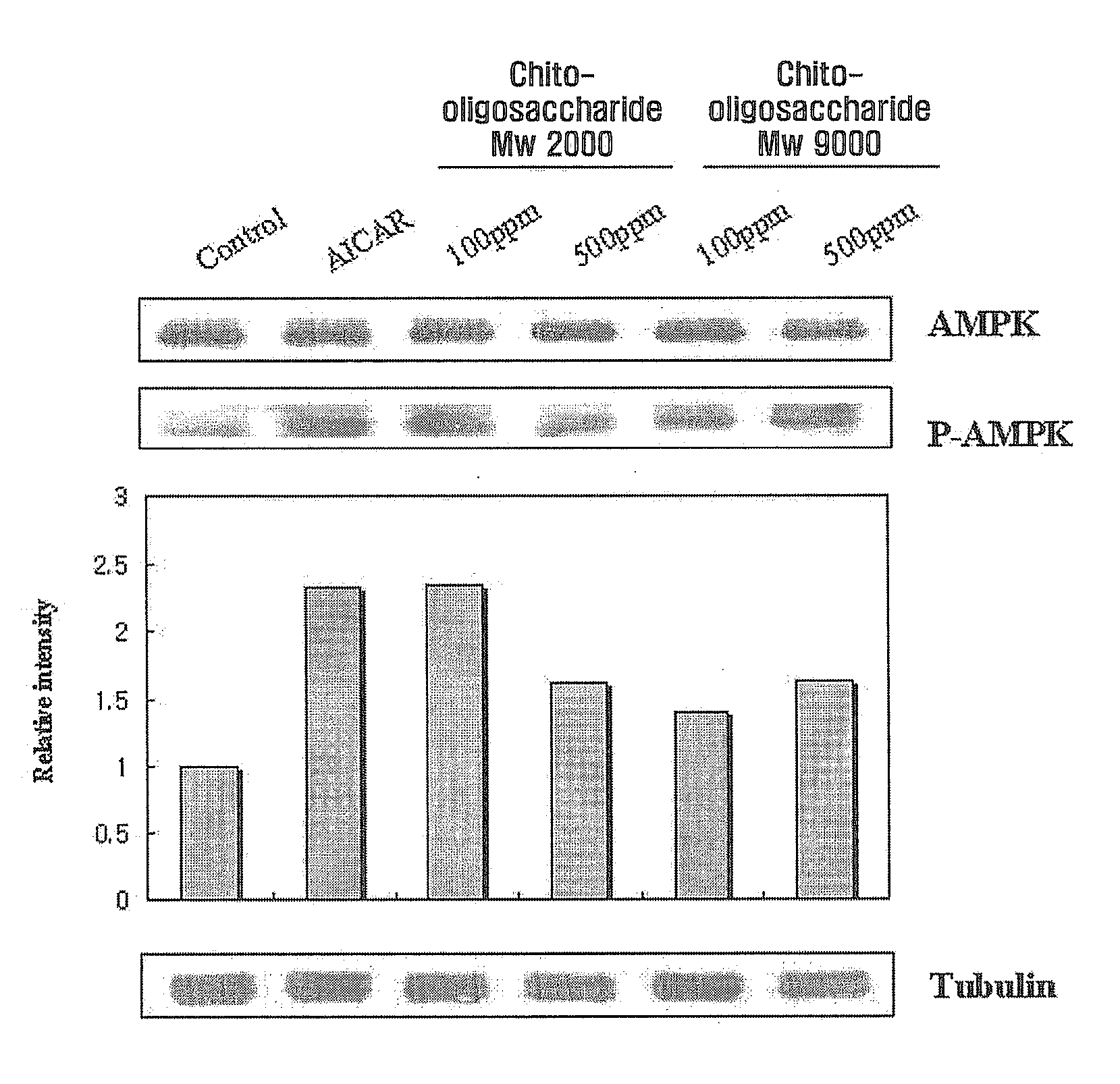 Ampk potentiator containing chito-oligosaccharide