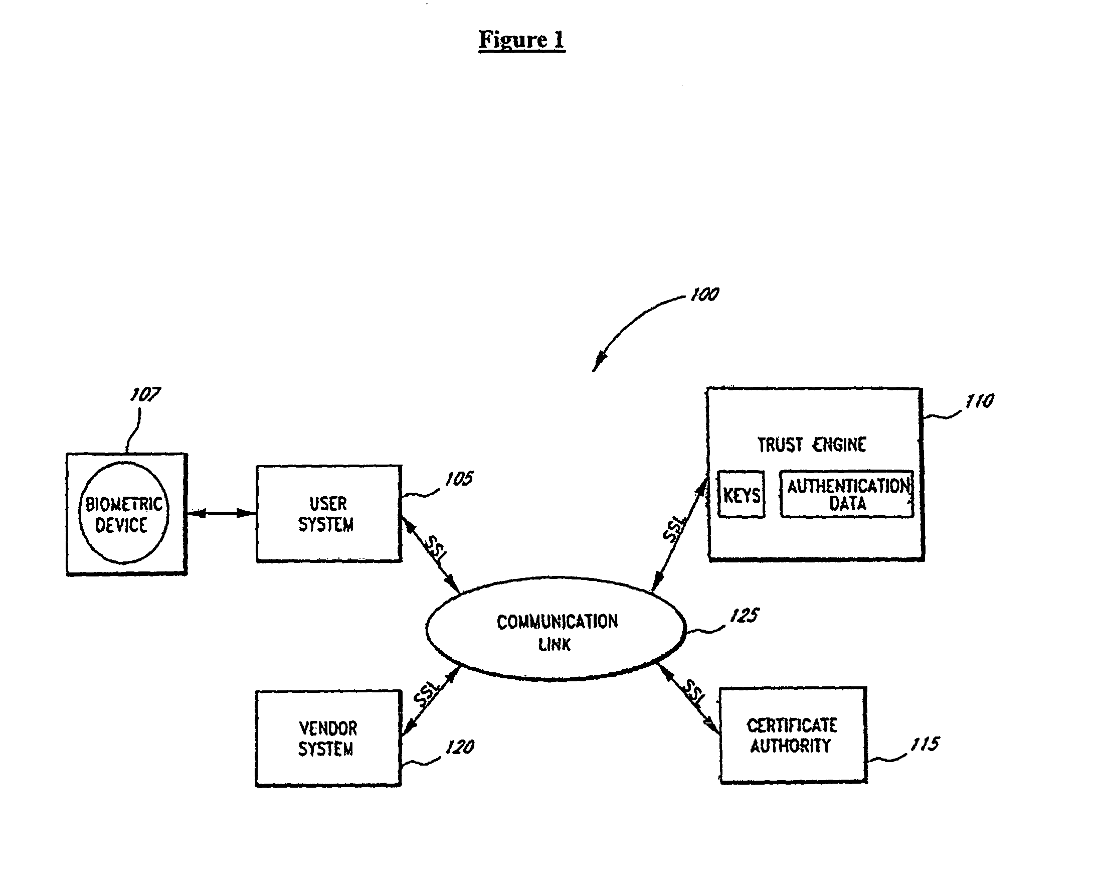 Systems and methods for distributing and securing data