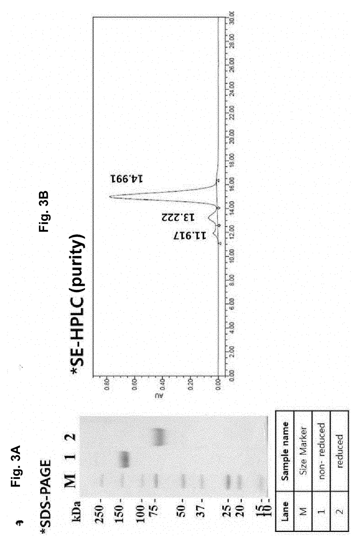 Pd-l1 fusion protein and use thereof