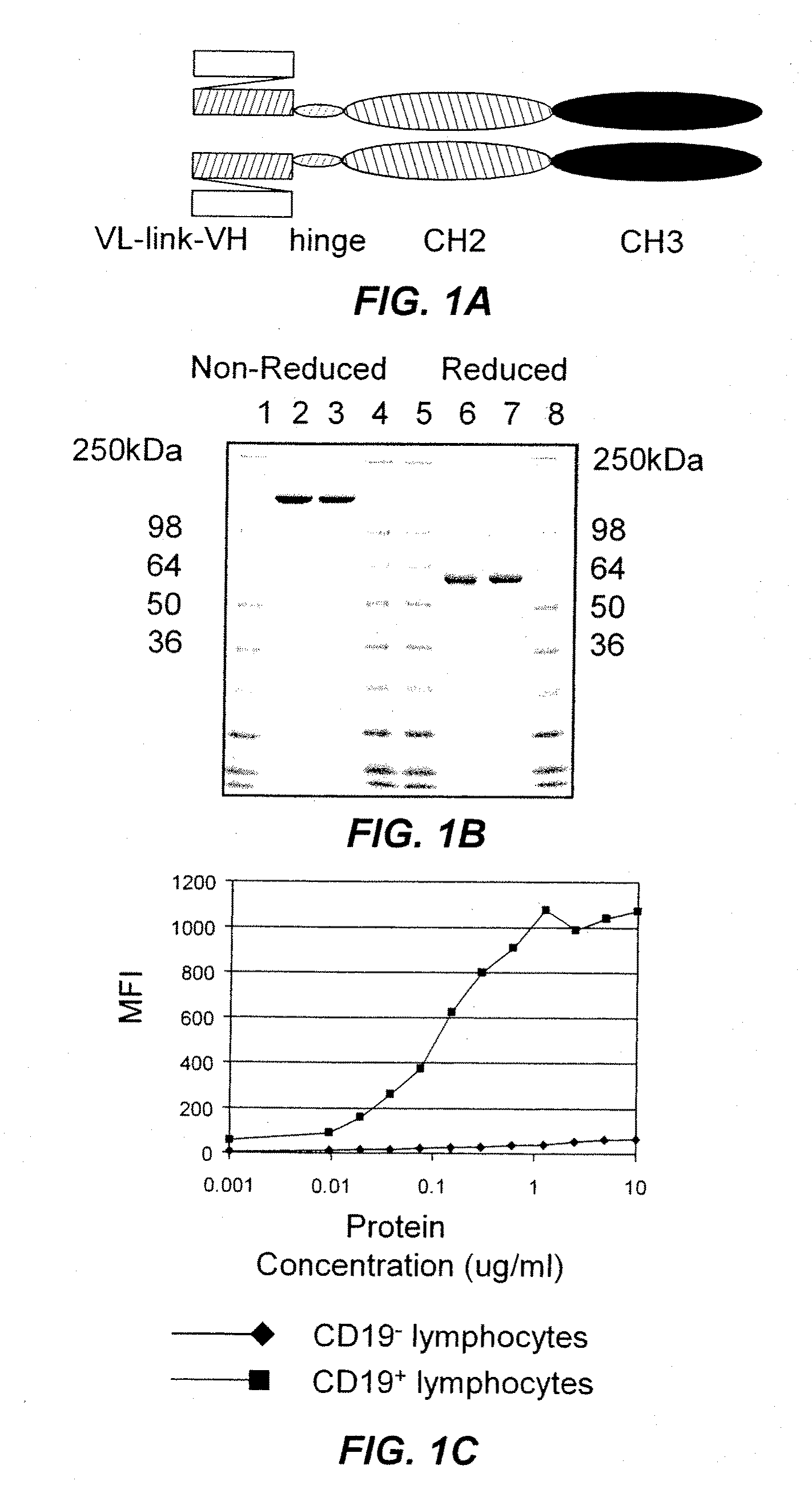 B-Cell Reduction Using CD37-Specific and CD20-Specific Binding Molecules