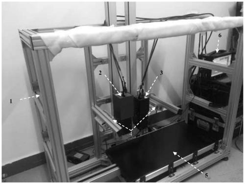 A method for predicting the content of ferulic acid in Lycium barbarum based on hyperspectral imaging technology