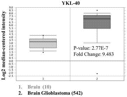 Application of YKL-40 as glioblastoma biomarker
