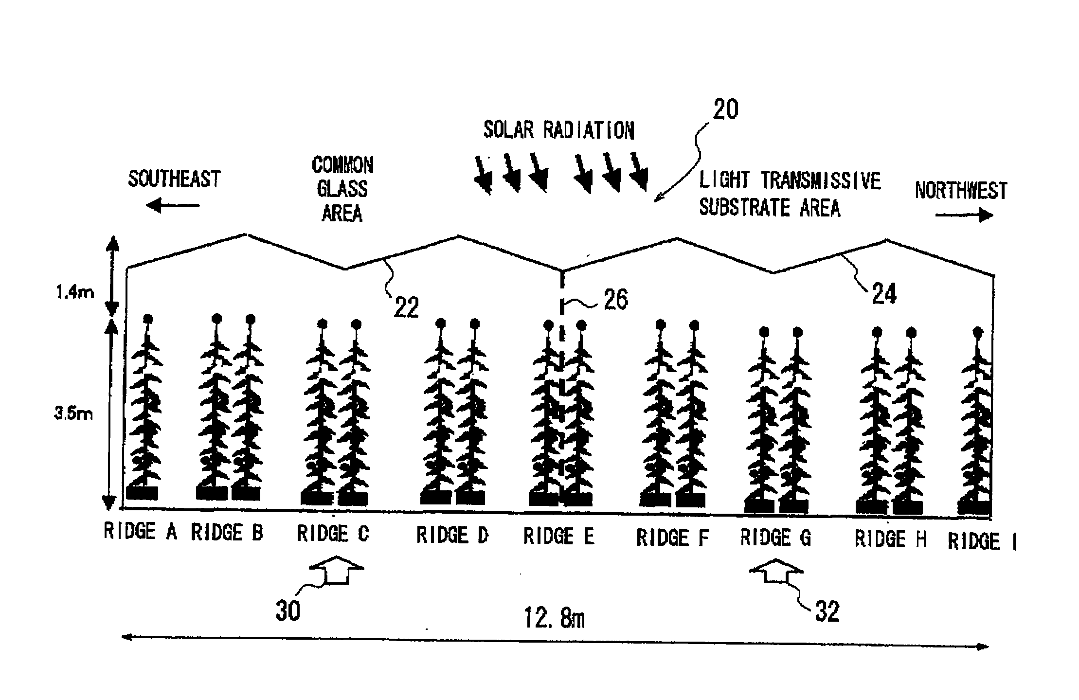 Greenhouse, method for growing plants using the same, and light transmissive substrate