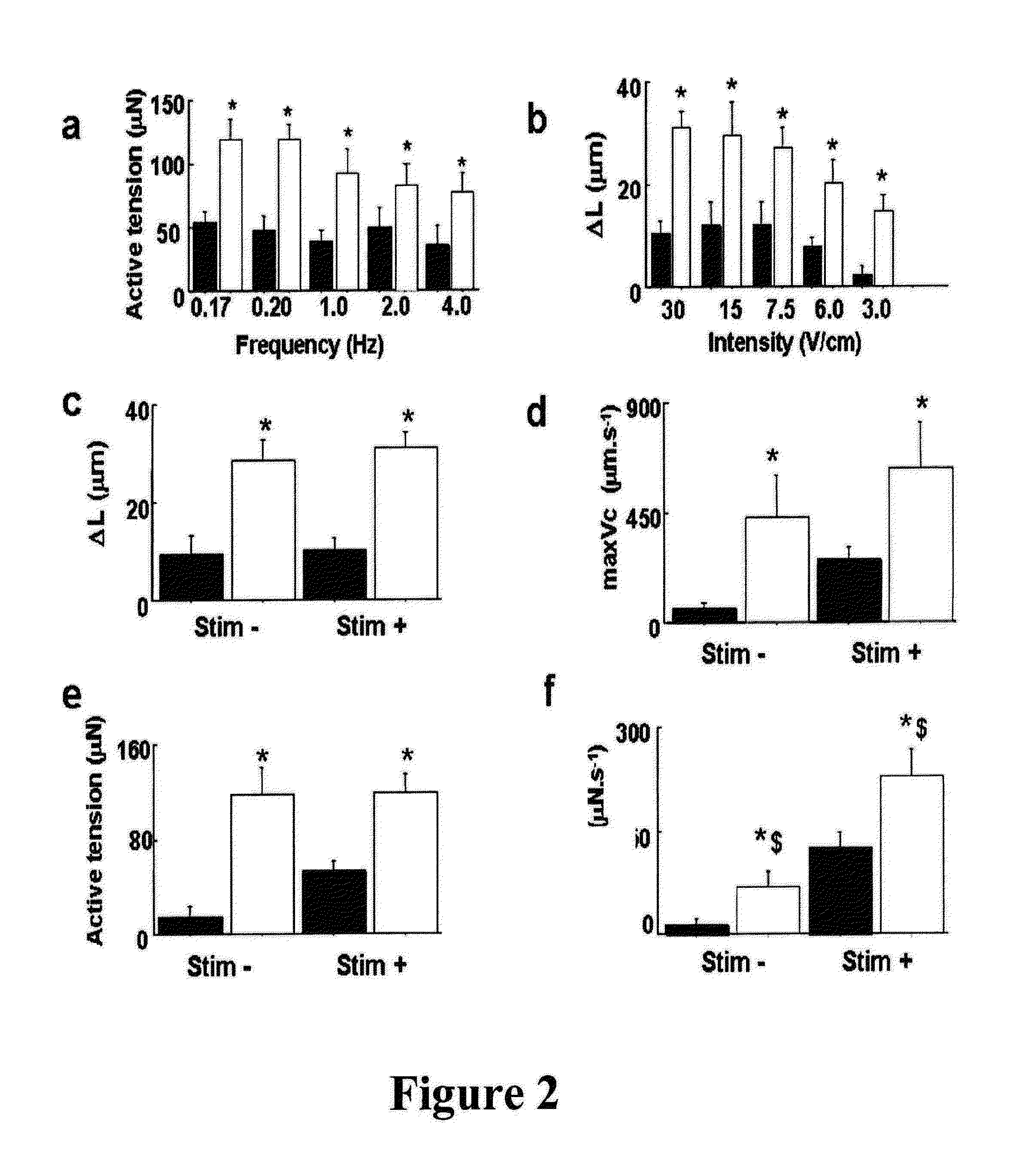 Collagen scaffold modified by covalent grafting of adhesion molecules, associated methods and use thereof for cardiovascular and thoracic cell therapy and contractile tissue engineering