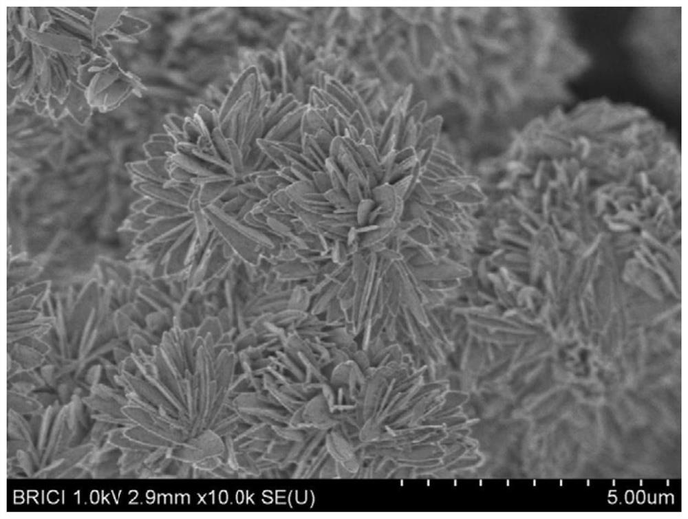 A kind of porous nano flower ni  <sub>2</sub> Preparation method of p material and ni  <sub>2</sub> p material