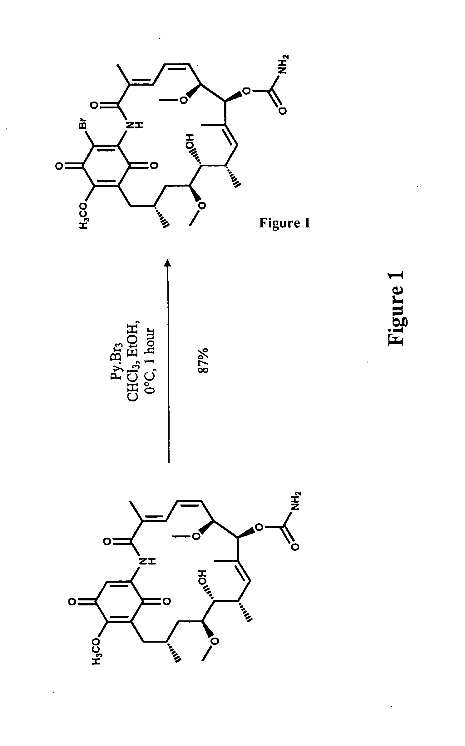 Hsp90 inhibitors with modified toxicity