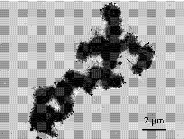 Preparing method of nano-silver-based composite bactericide
