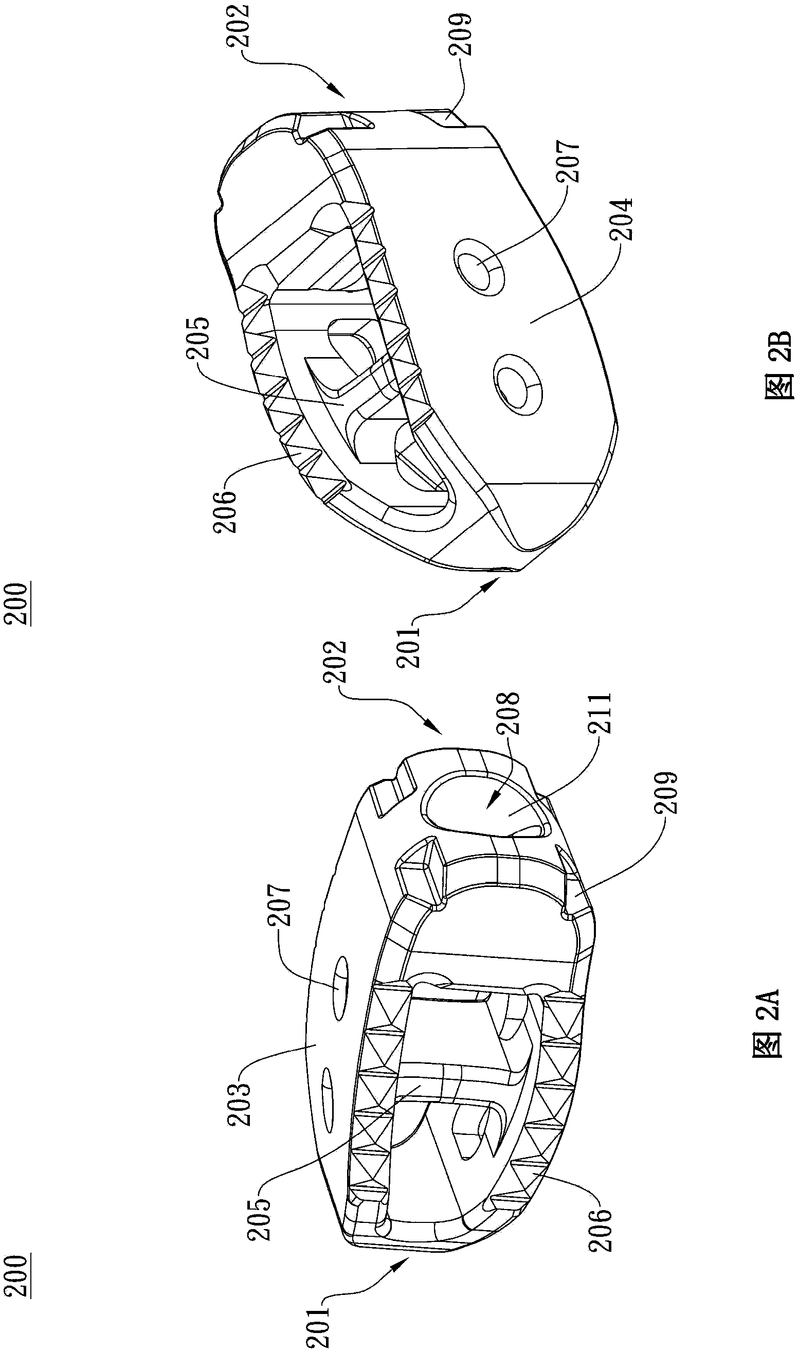 Spinal implant structure body and suites thereof