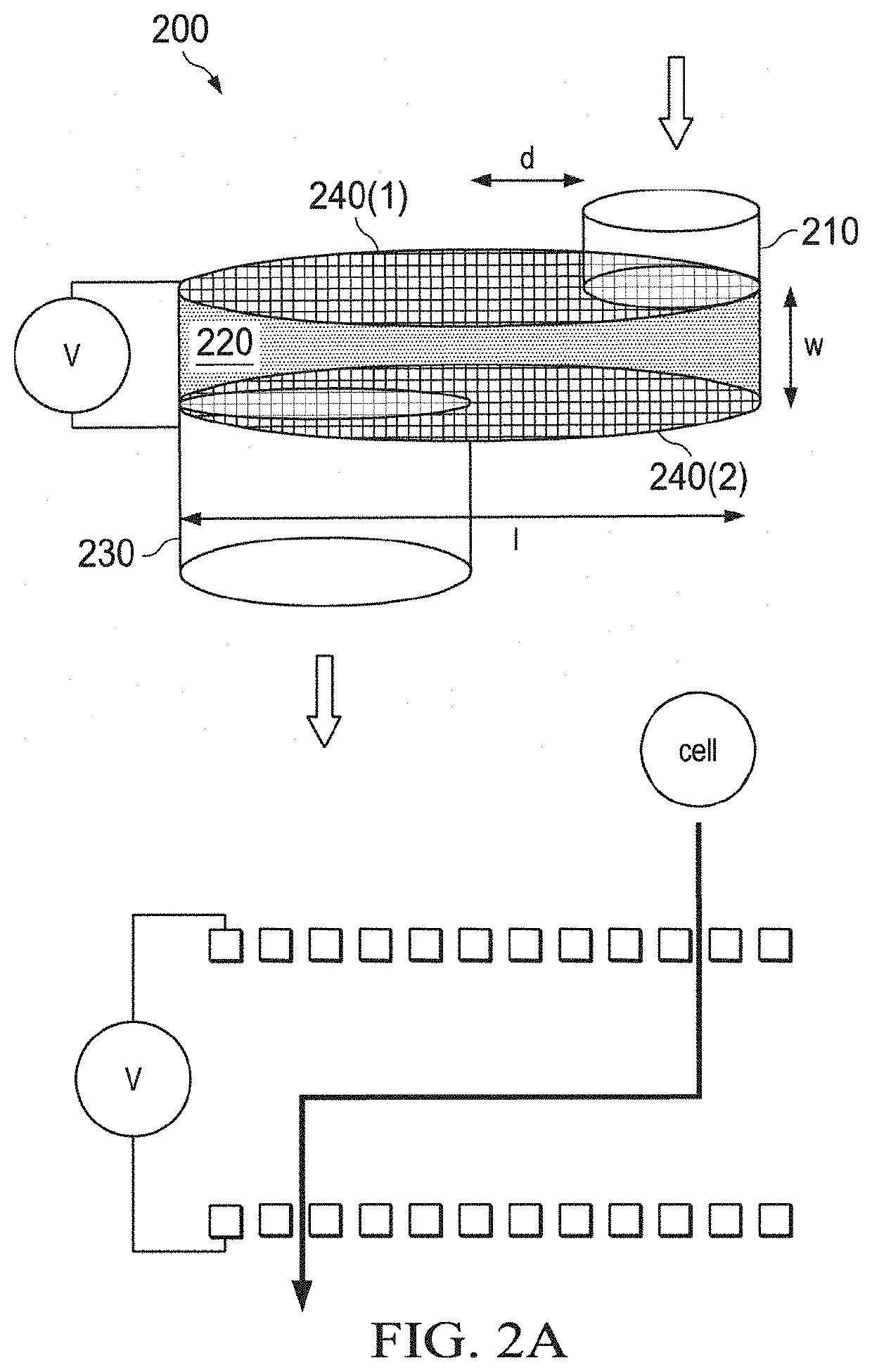 Micro Flow-Through Electroporation Devices And Methods Of Cell Transfection