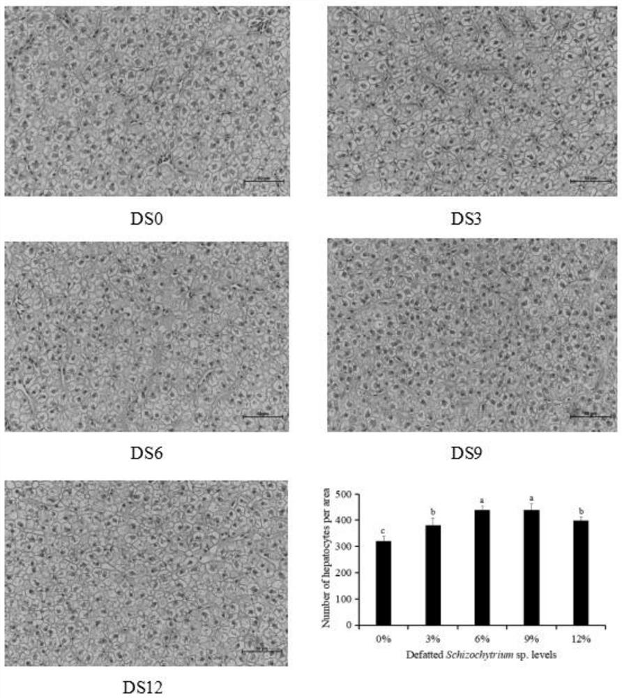 Functional feed for improving quality of ctenopharyngodon idellus by using schizochytrium sp. residues