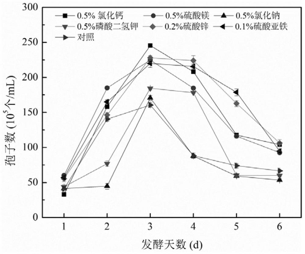 A method for liquid fermentation of R. ginkgo crown, product and application thereof