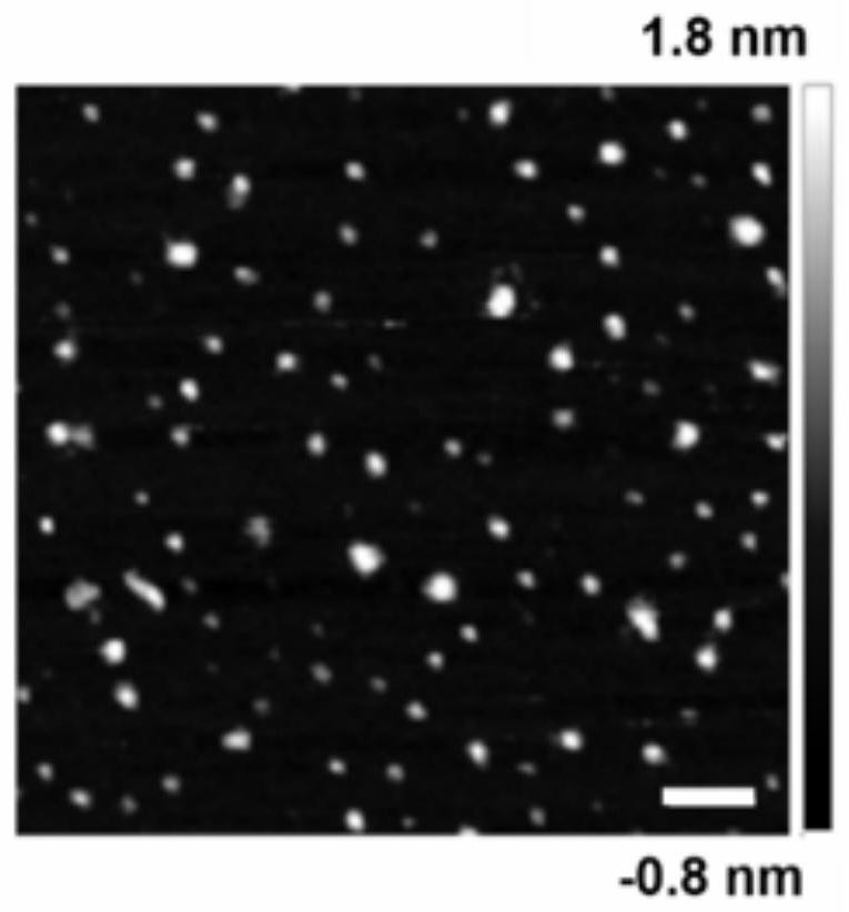 A kind of functional modification method of cell membrane