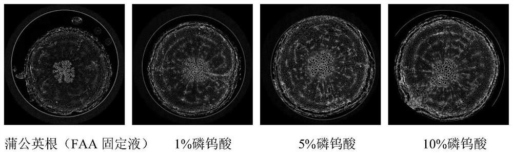 A method for enhancing the contrast of micro-CT plant samples