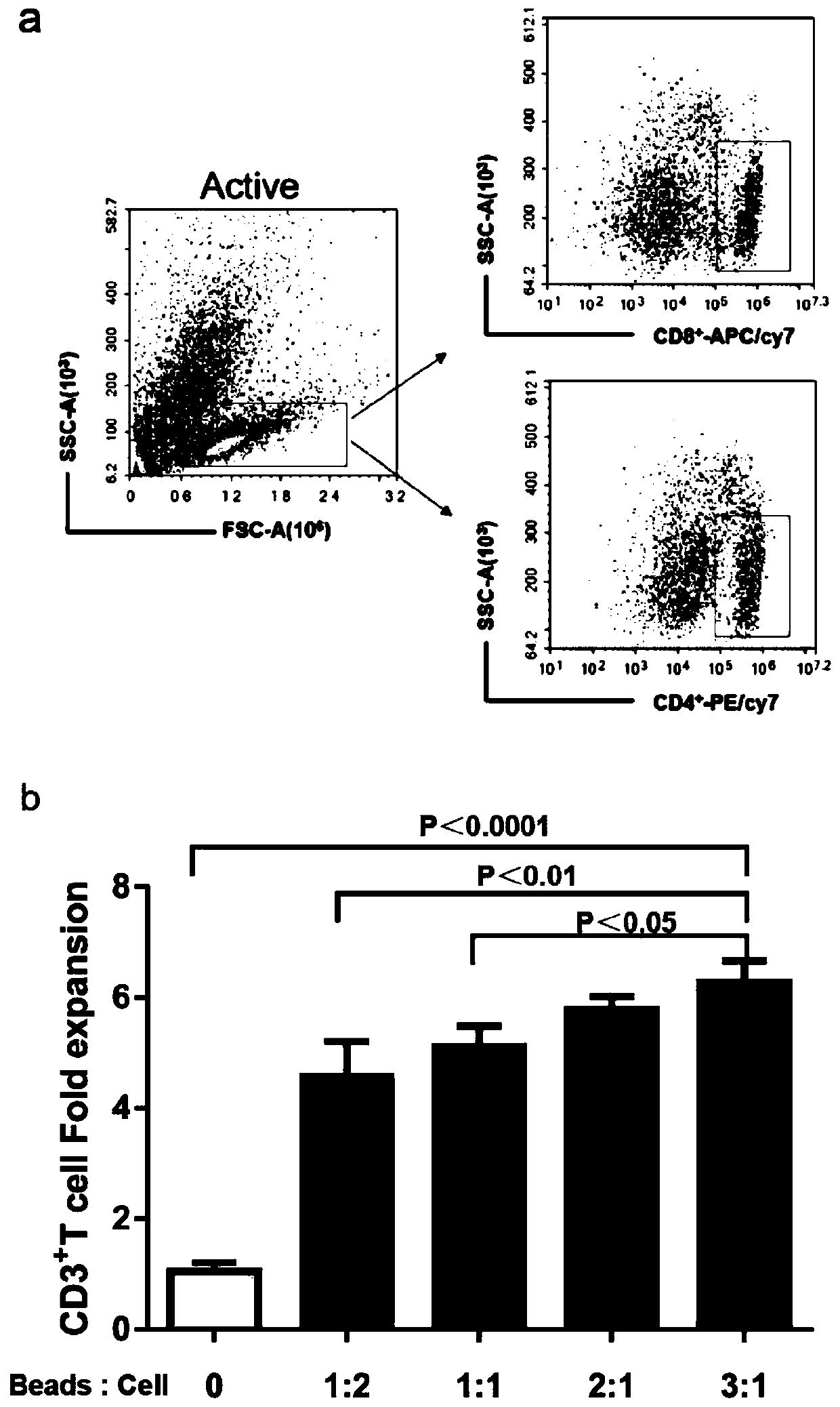 Method for promoting in-vitro amplification of umbilical cord blood T cell and maintaining high-proportion TSCM subpopulation