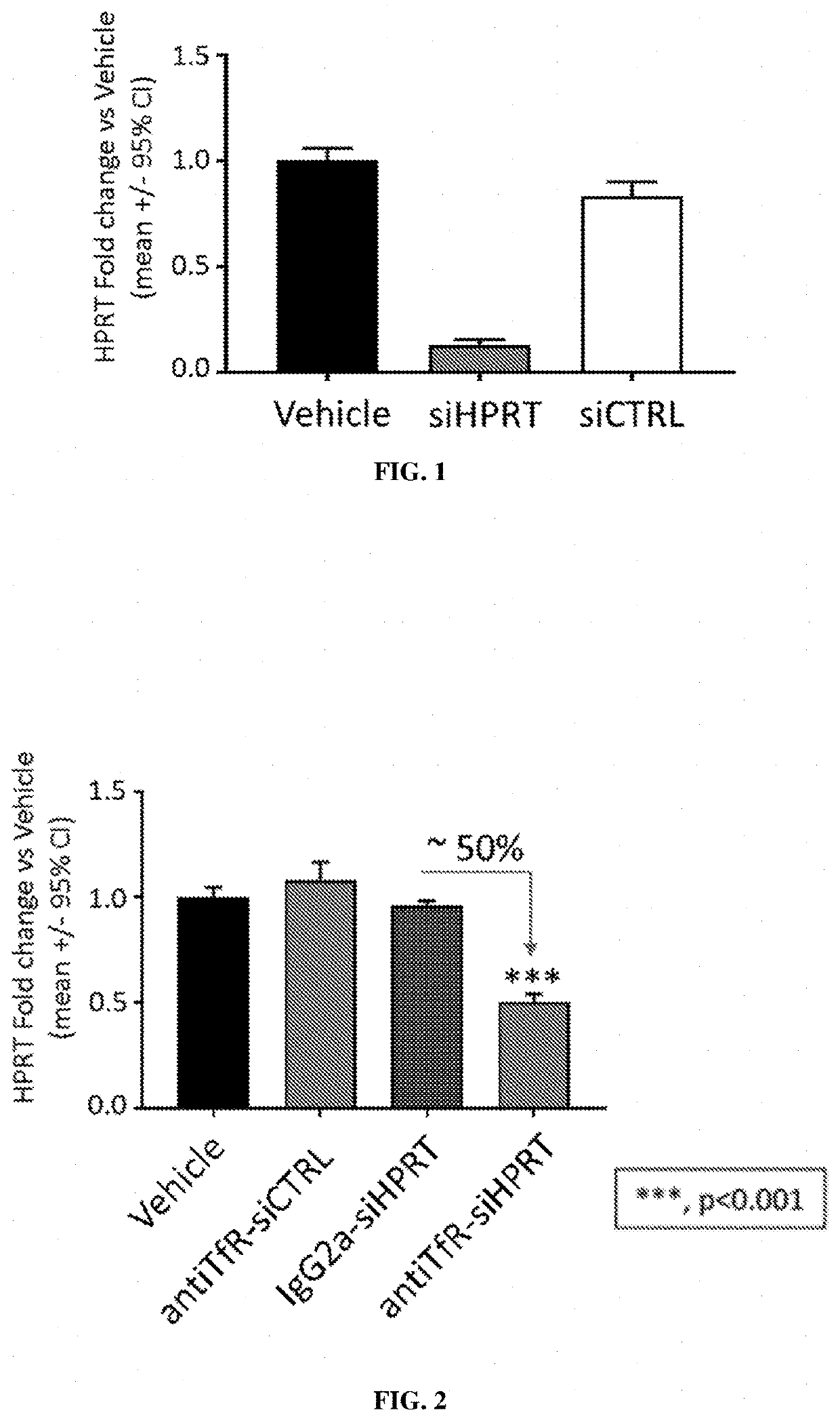 Muscle targeting complexes and uses thereof for treating hypertrophic cardiomyopathy