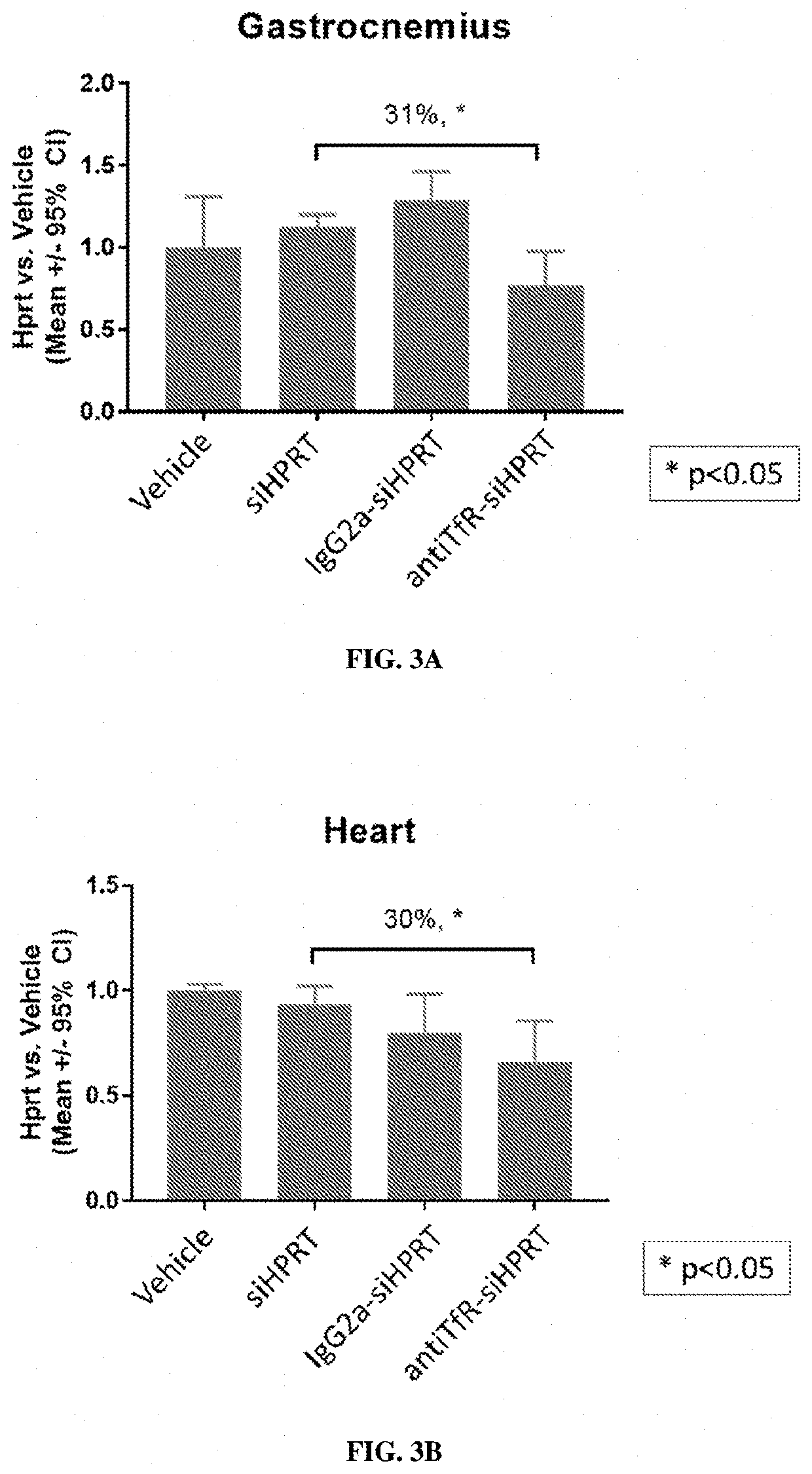 Muscle targeting complexes and uses thereof for treating hypertrophic cardiomyopathy
