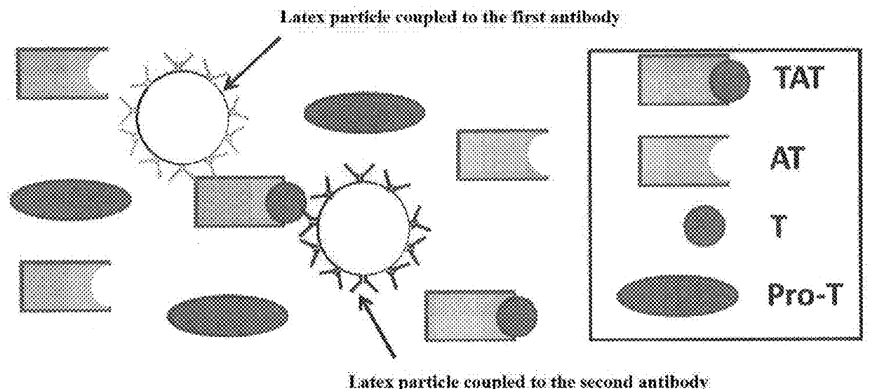 Reagent and method for assaying thrombin-antithrombin complex