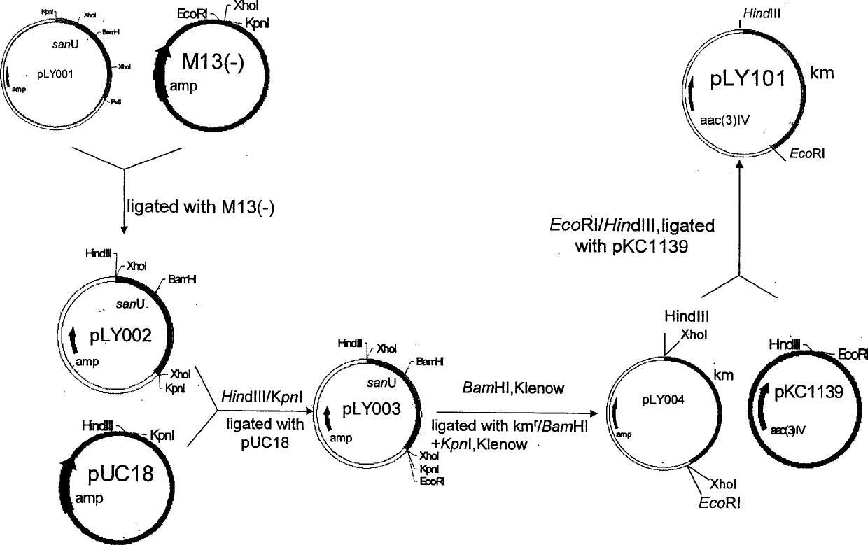High-yield engineering bacterium of nicomycin x component and its application