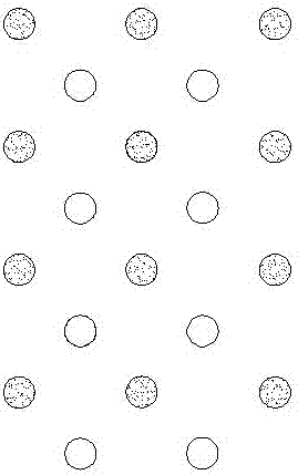 An intercropping symbiosis technology of Radix Paeoniae Alba