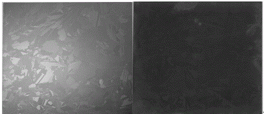 Preparation method of sub-wavelength silicon nanowire array