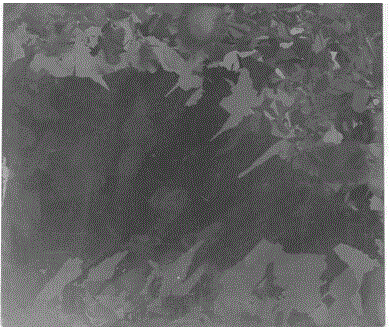 Preparation method of sub-wavelength silicon nanowire array